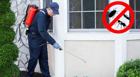 Muratpaşa Kene İlaçlama böcek ilaçlama ve haşere kontrolü — ilaclama-tr.com